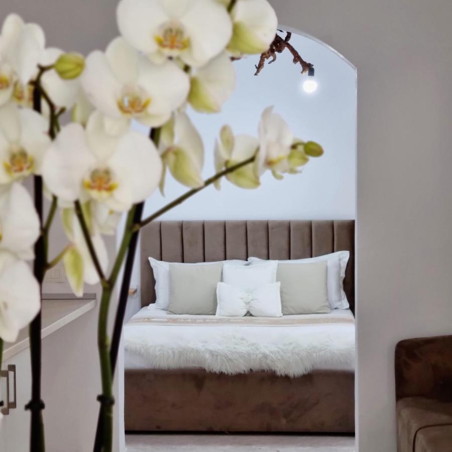Green Villa Holiday home Vlore