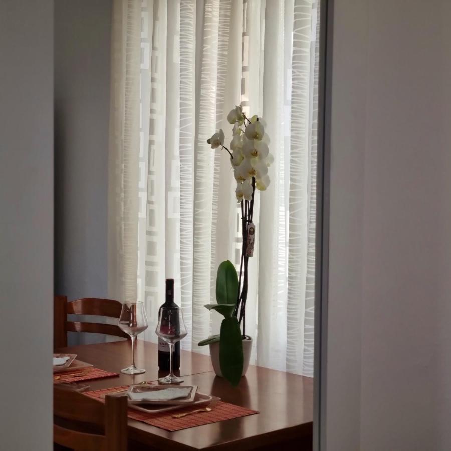 Holiday home Green Villa Vlore